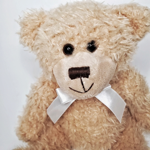 COPY - THE PETTING ZOO 8 inch Plush Teddy Bear - Picture 3 of 7